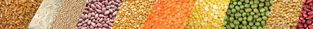 Seed Industry News